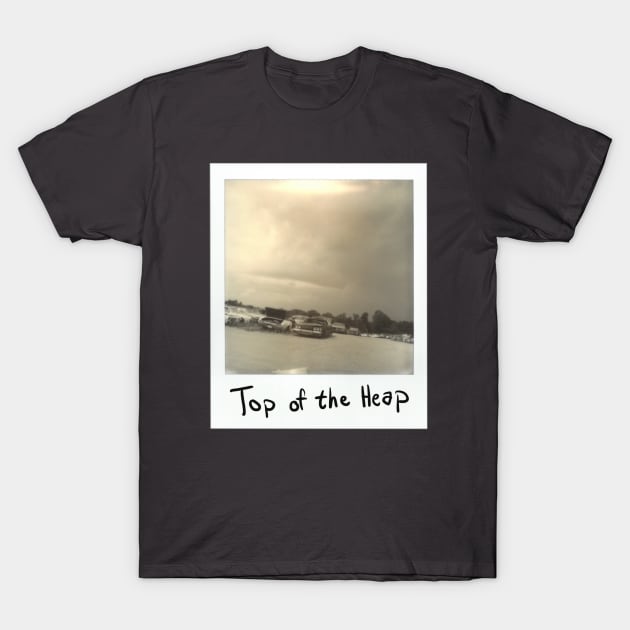 Top of the Heap T-Shirt by Thread Dazzle